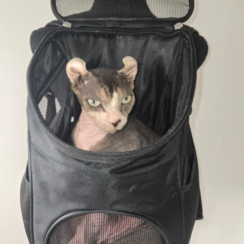 Black Pet Carrier Backpack
